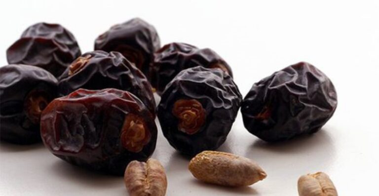 dates supplier in Malaysia